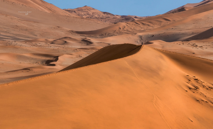 Big Dady. Namibia - Namib Desert